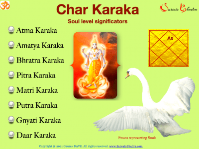Names of 8 Char Karaka, a Swan symbolizing Soul, Shri Vishnu as governor of the concept, and north Indian empty chart